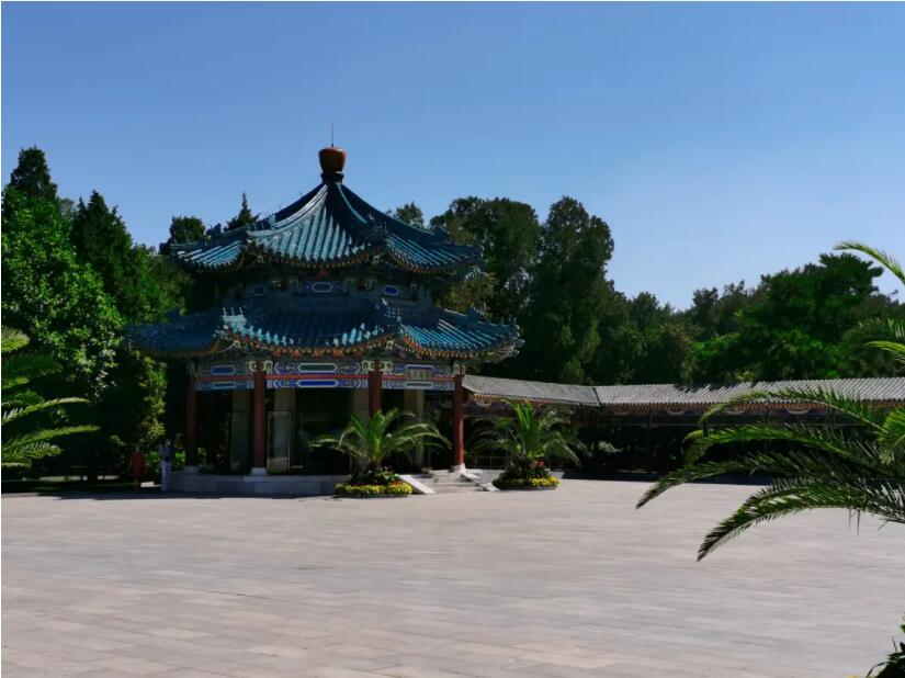 北京推出111個公園賞花片區